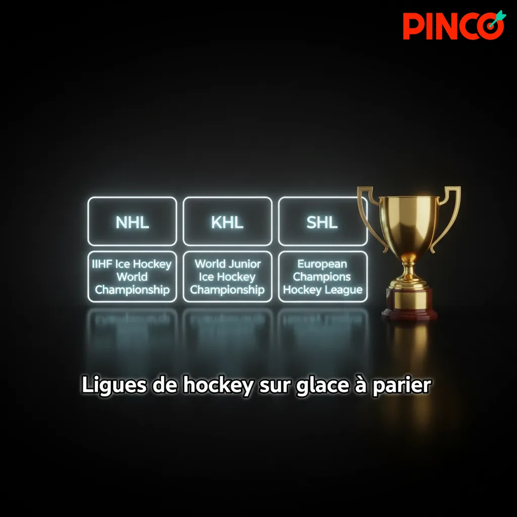 Affiche de paris hockey avec logos LNH, AHL, LCH, KHL, SHL, Liiga, IIHF, Jeux olympiques et tableau de cotes.
