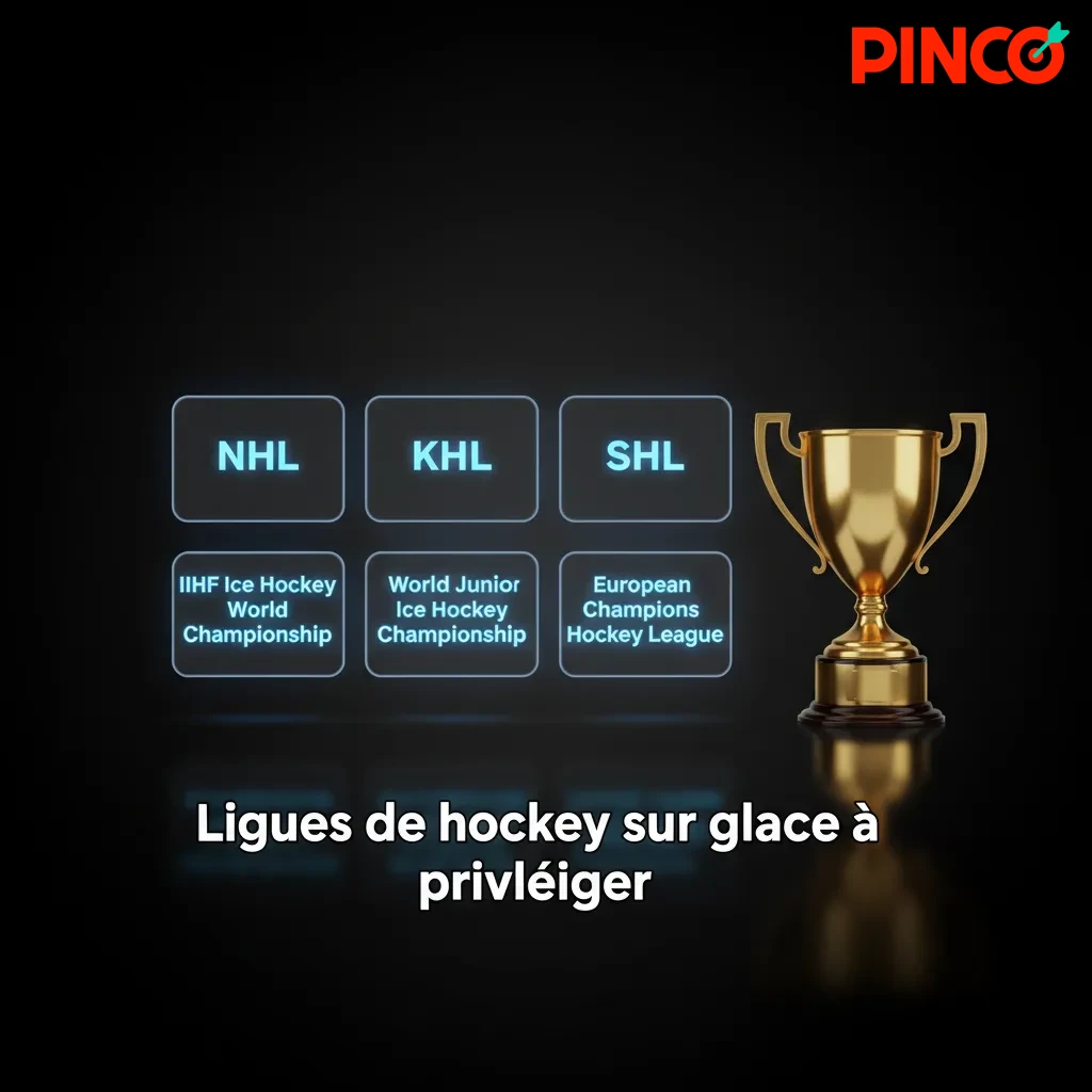 Infographie des ligues de hockey sur glace à privilégier: LNH, AHL, CHL, KHL, SHL, Liiga, Mondiaux IIHF, JO